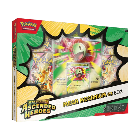 Ascended Heroes Mega Meganium ex Box